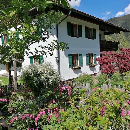 Ferienwohnungen Asterbach Gosau Bagian luar foto