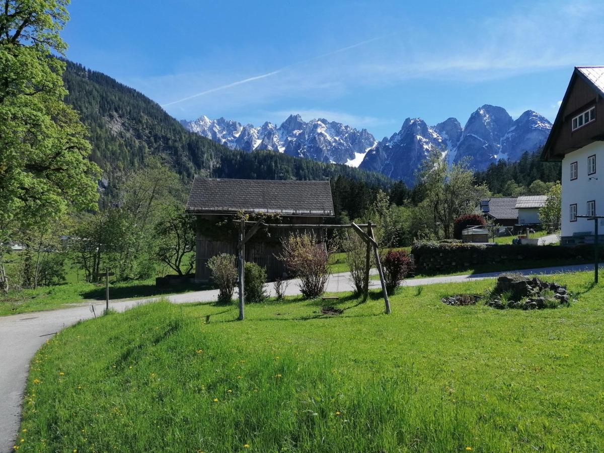 Ferienwohnungen Asterbach Gosau Bagian luar foto