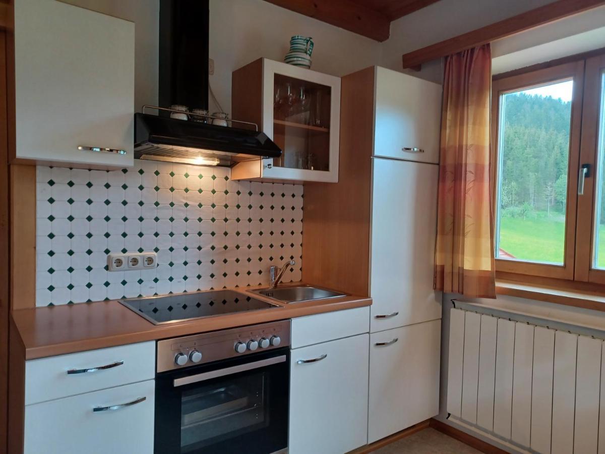 Ferienwohnungen Asterbach Gosau Bagian luar foto