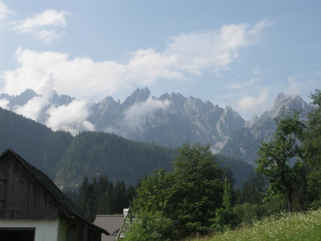 Ferienwohnungen Asterbach Gosau Bagian luar foto
